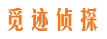 田阳市婚姻调查